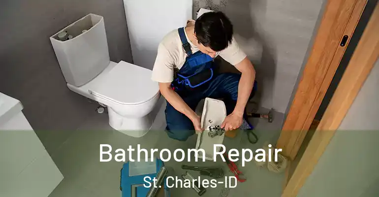inner Bathroom imggen Bathroom Repair St. Charles-ID