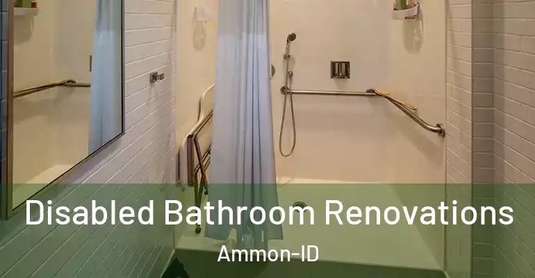 inner Bathroom imggen Disabled Bathroom Renovations Ammon-ID