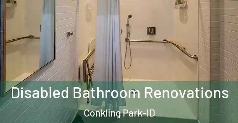 inner Bathroom imggen Disabled Bathroom Renovations Conkling Park-ID