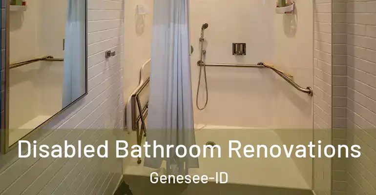 inner Bathroom imggen Disabled Bathroom Renovations Genesee-ID