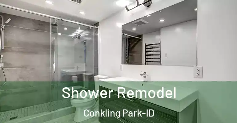 inner Bathroom imggen Shower Remodel Conkling Park-ID