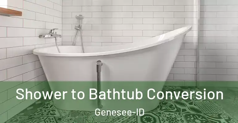 inner Bathroom imggen Shower to Bathtub Conversion Genesee-ID