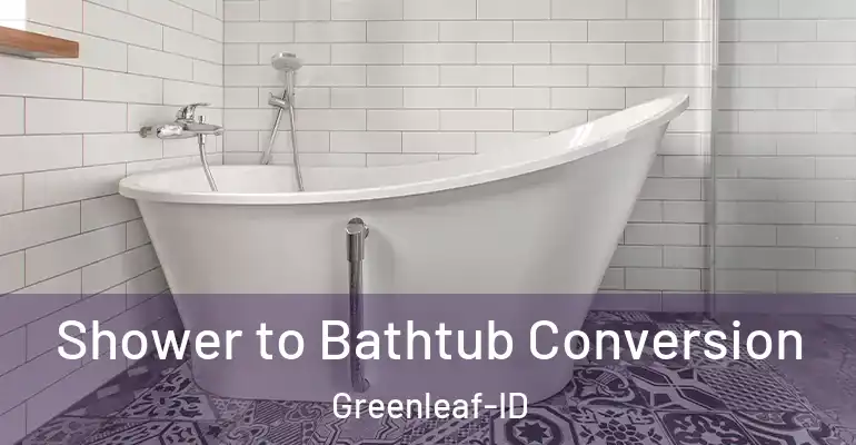 inner Bathroom imggen Shower to Bathtub Conversion Greenleaf-ID