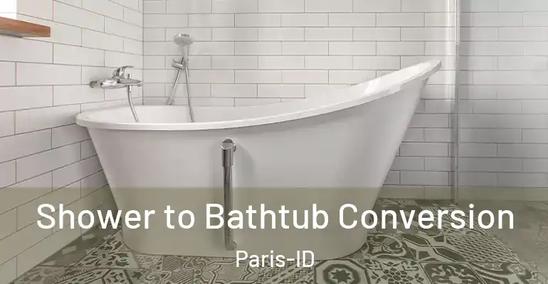 inner Bathroom imggen Shower to Bathtub Conversion Paris-ID