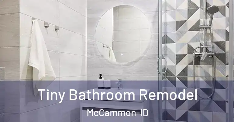 inner Bathroom imggen Tiny Bathroom Remodel McCammon-ID