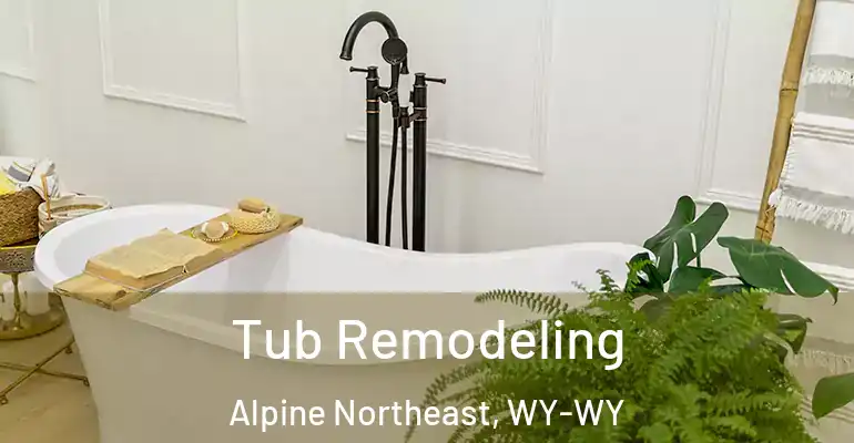 inner Bathroom imggen Tub Remodeling Alpine Northeast, WY-WY