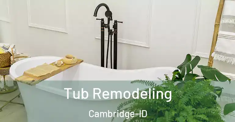 inner Bathroom imggen Tub Remodeling Cambridge-ID