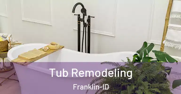 inner Bathroom imggen Tub Remodeling Franklin-ID