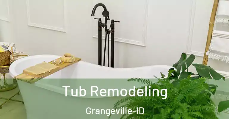 inner Bathroom imggen Tub Remodeling Grangeville-ID