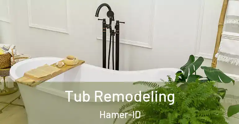 inner Bathroom imggen Tub Remodeling Hamer-ID