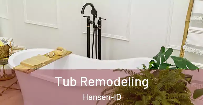inner Bathroom imggen Tub Remodeling Hansen-ID