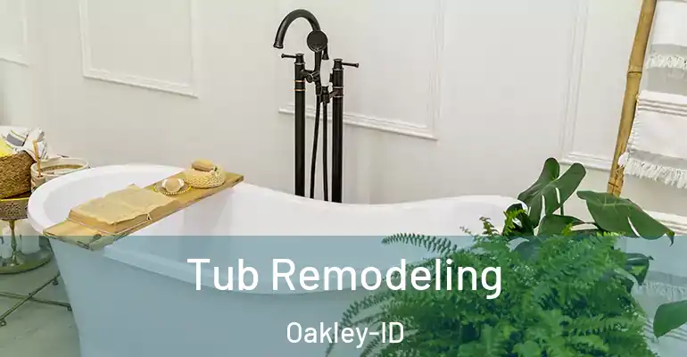 inner Bathroom imggen Tub Remodeling Oakley-ID