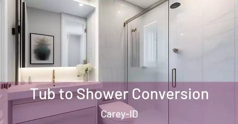 inner Bathroom imggen Tub to Shower Conversion Carey-ID
