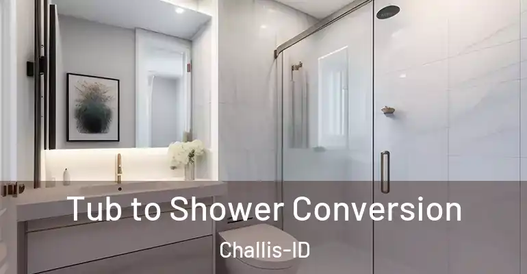 inner Bathroom imggen Tub to Shower Conversion Challis-ID