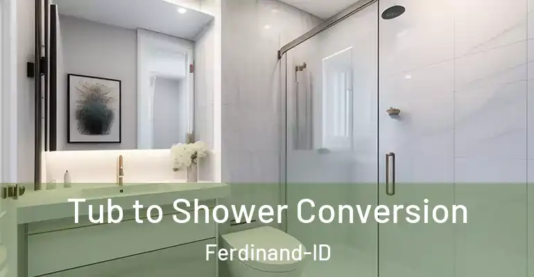 inner Bathroom imggen Tub to Shower Conversion Ferdinand-ID