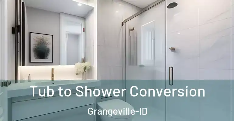 inner Bathroom imggen Tub to Shower Conversion Grangeville-ID