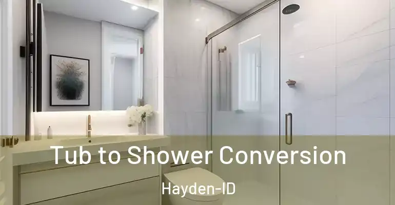 inner Bathroom imggen Tub to Shower Conversion Hayden-ID
