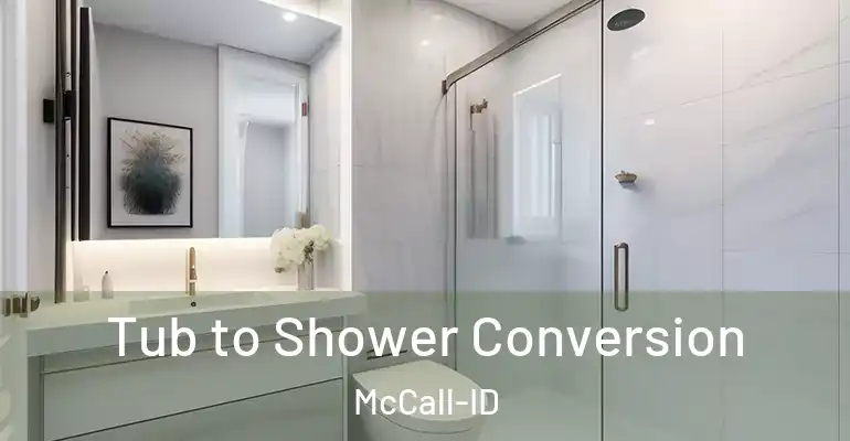 inner Bathroom imggen Tub to Shower Conversion McCall-ID