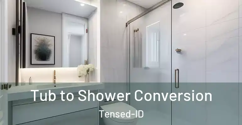 inner Bathroom imggen Tub to Shower Conversion Tensed-ID